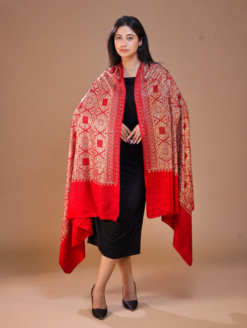 Women's Pure Wool Faux Pashmina Aari Embroidery Shawl